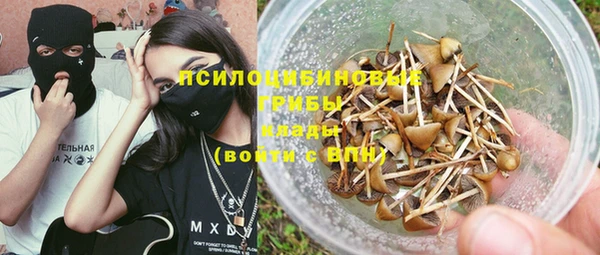 марки nbome Белокуриха
